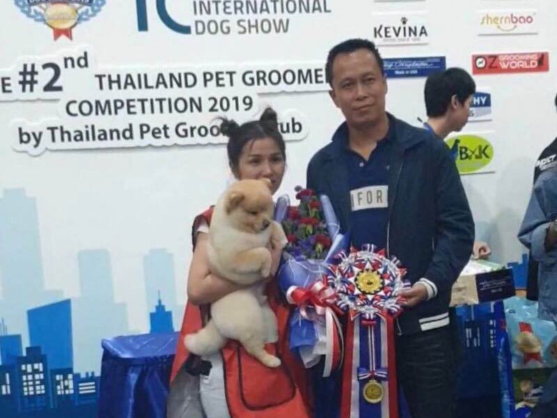 สอนตัดขนสุนัข