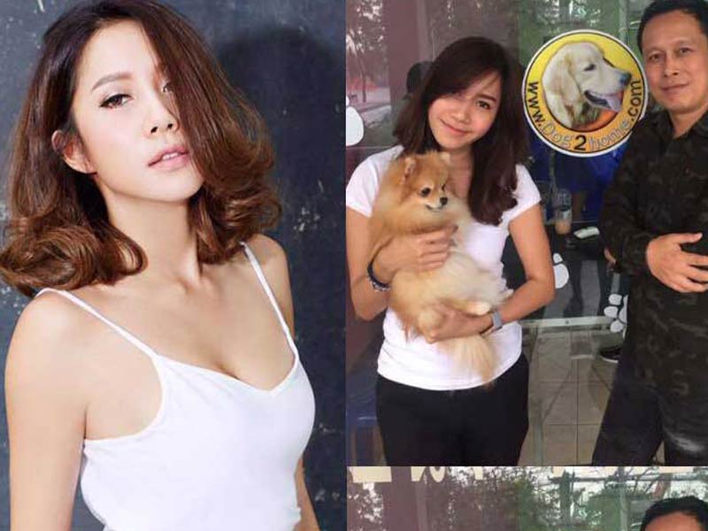 สอนตัดขนสุนัข