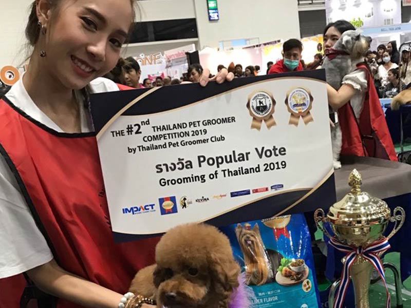 สอนตัดขนสุนัข