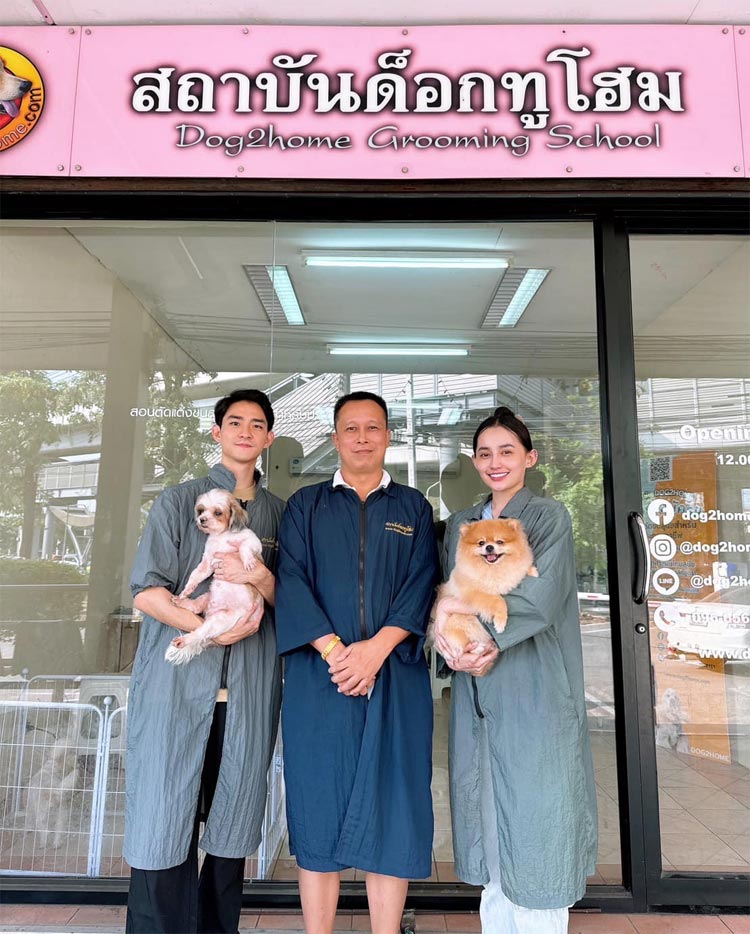 เรียนอาบน้ำตัดขนสุนัข