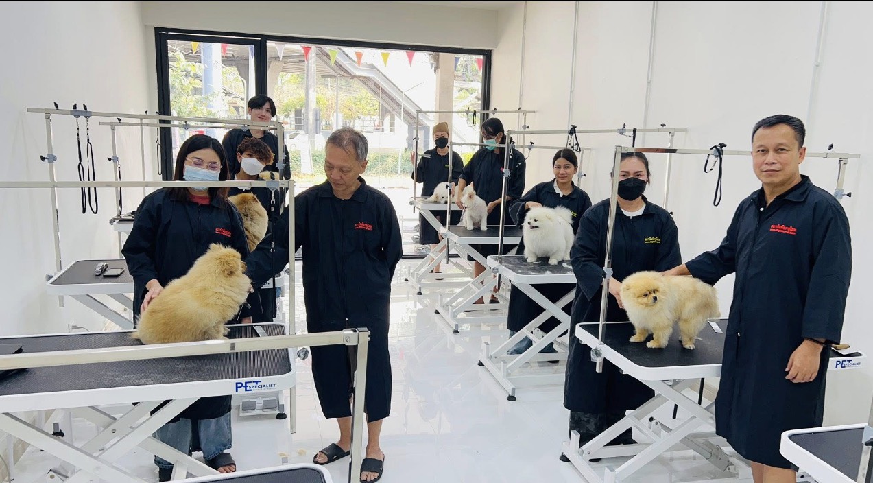 เรียนตัดขนหมา