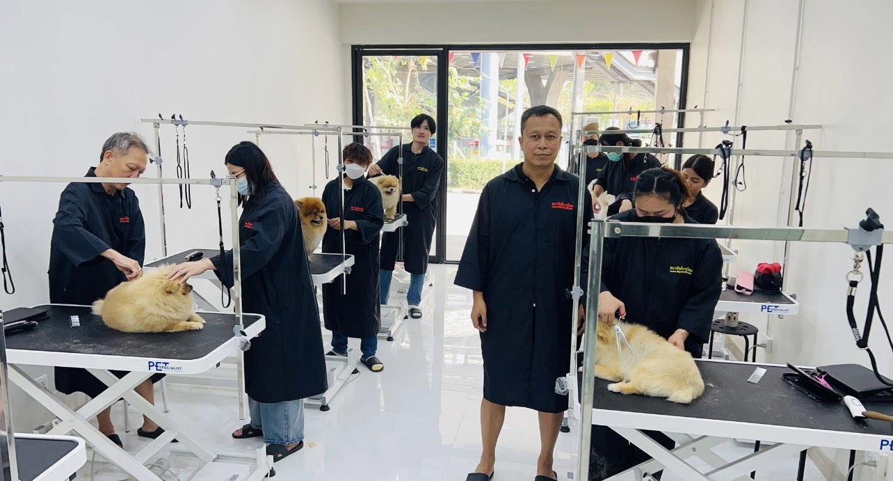 สอนตัดขนสุนัข