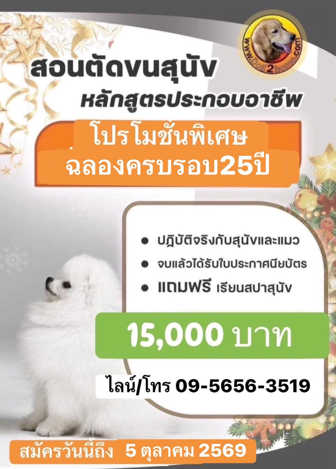 เรียนตัดขนสุนัข