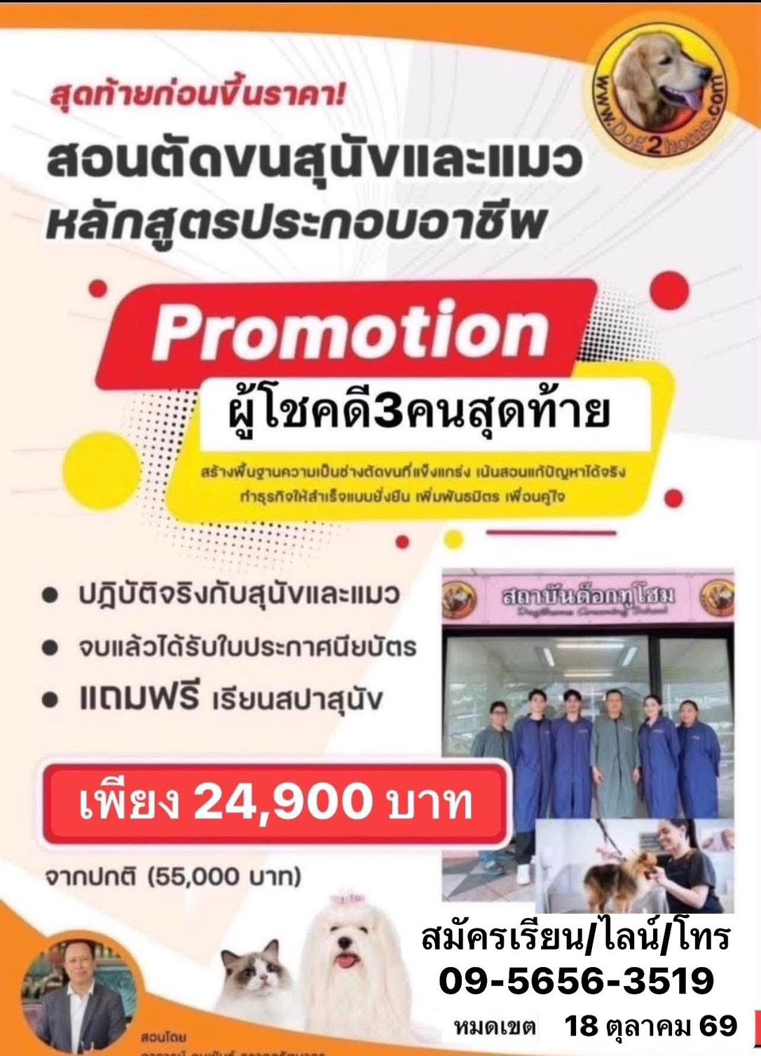เรียนตัดขนสุนัข