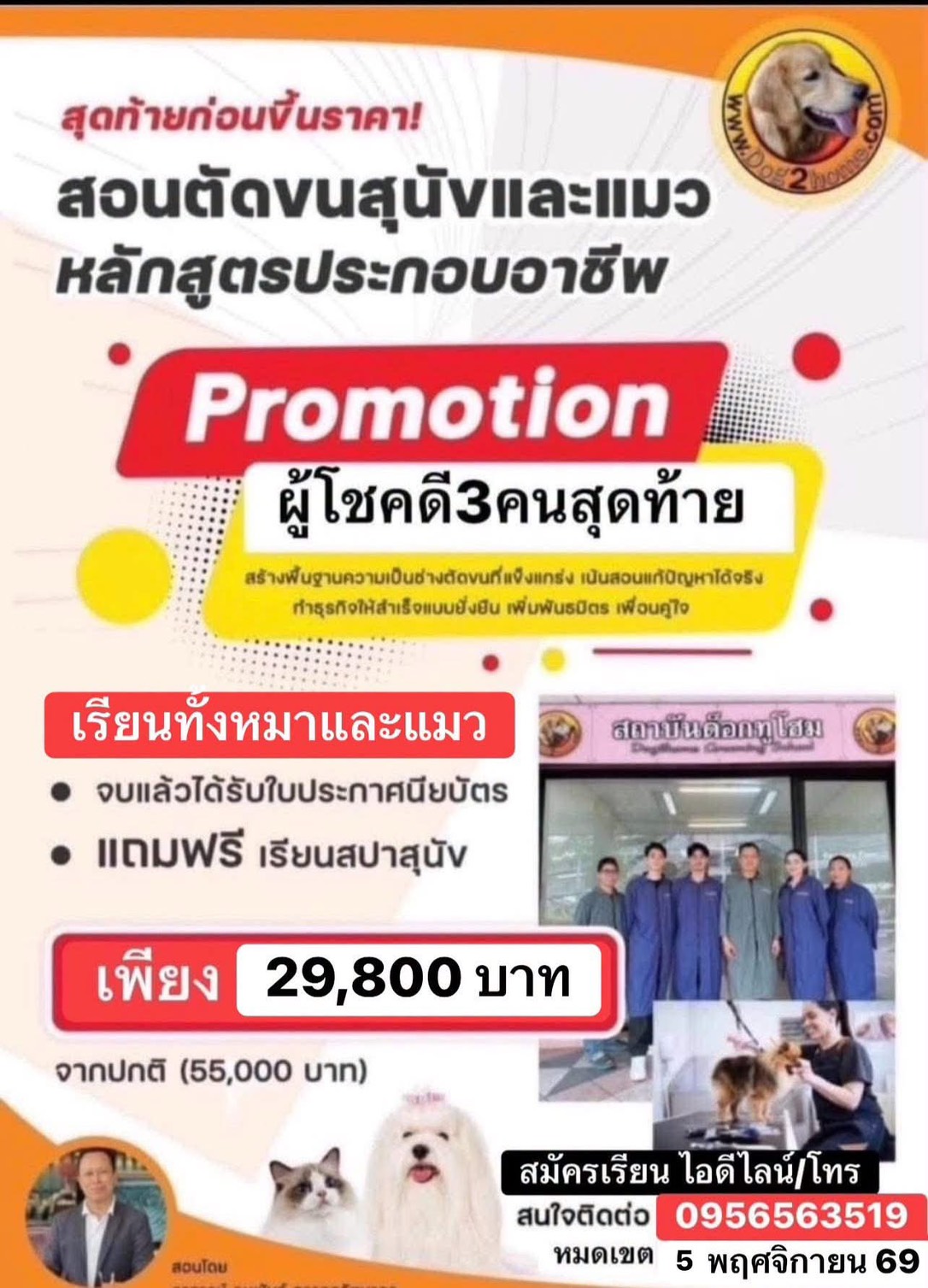 เรียนตัดขนสุนัข