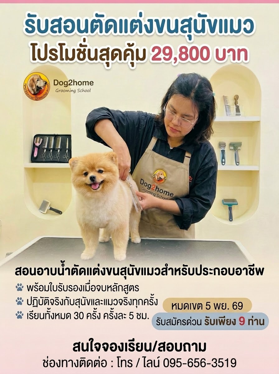 สอนตัดขนสุนัข